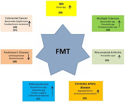 Fecal Microbiota Transplantation: A Potential Tool for Treatment of Human Female Reproductive Tract Diseases